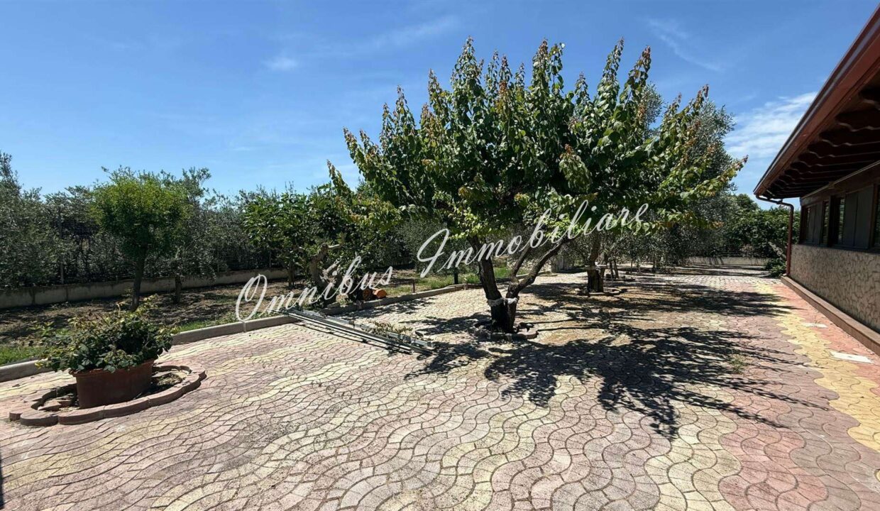 F_346991