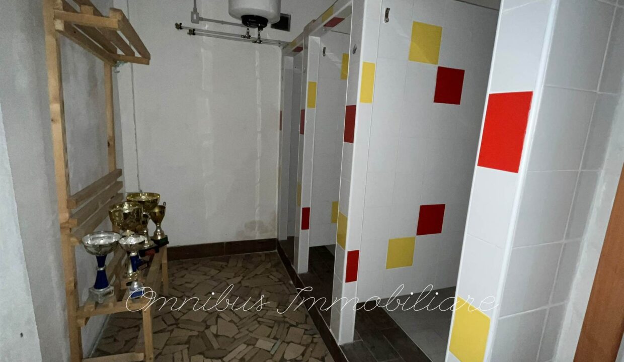 F_593677